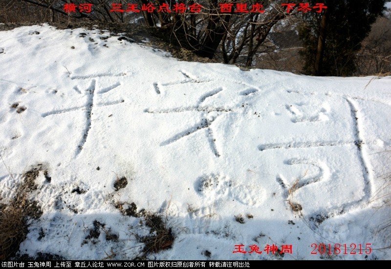 照片 262.jpg