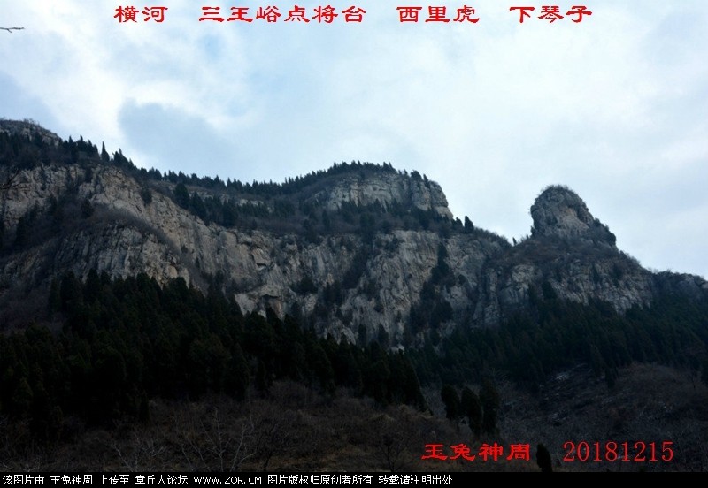 照片 294.jpg