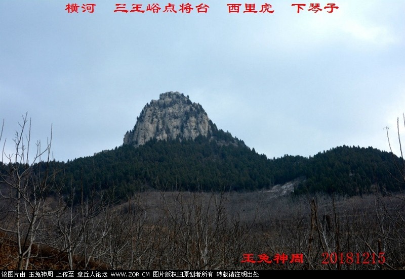 照片 297.jpg