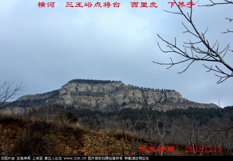 照片 298.jpg