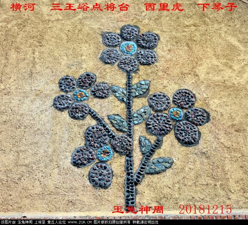 照片 303.jpg