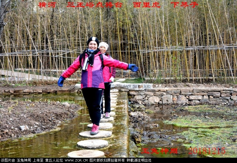 照片 319.jpg