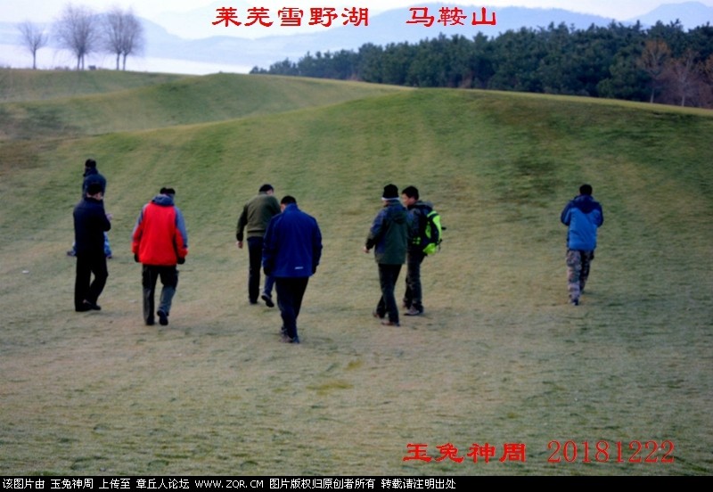 照片 017.jpg