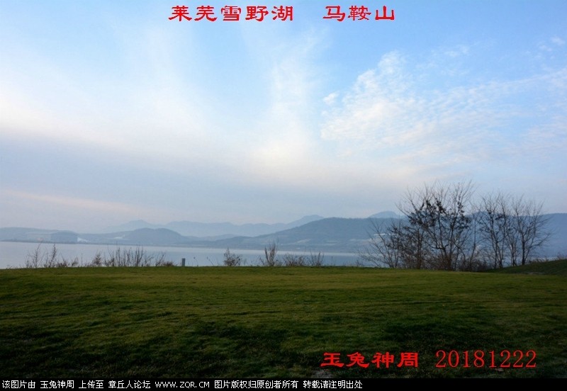 照片 041.jpg