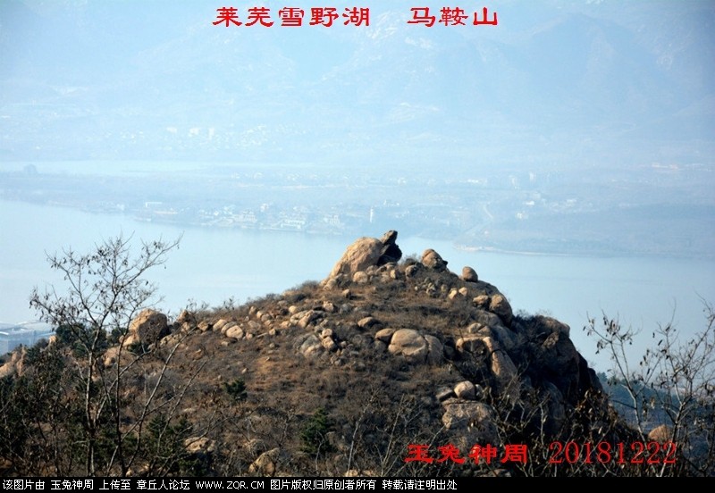 照片 200.jpg