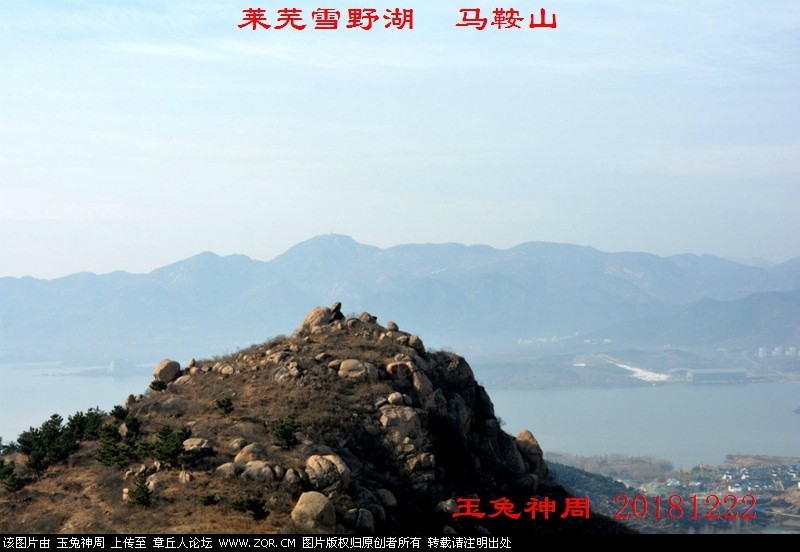 照片 208.jpg