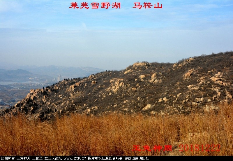 照片 211.jpg