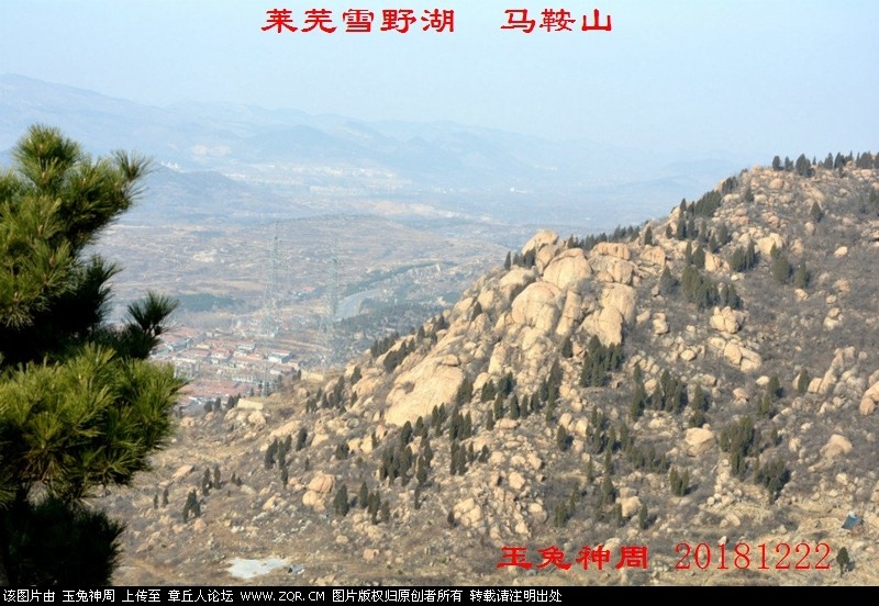 照片 218.jpg