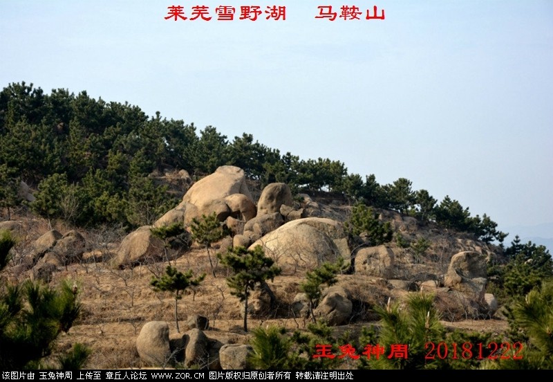 照片 220.jpg