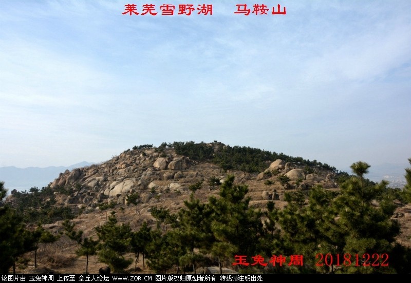 照片 222.jpg