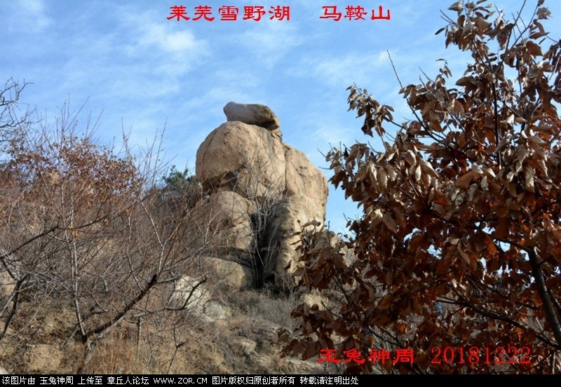 照片 228.jpg