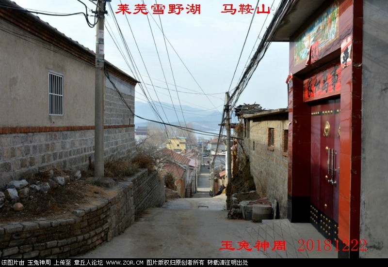 照片 235.jpg