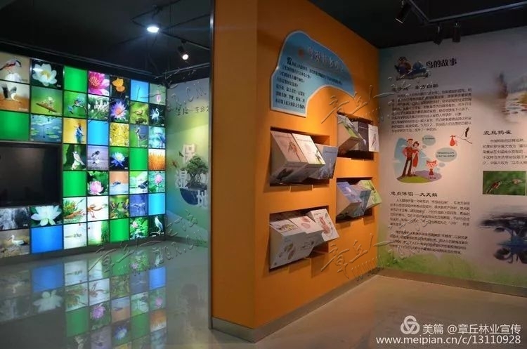785978-cce1886bcd6bf05f87f0745bb06b7291.jpg