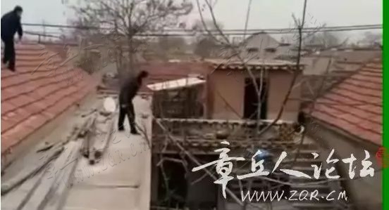 785978-429015404029bbc10d779a5b37b1d67a.jpg