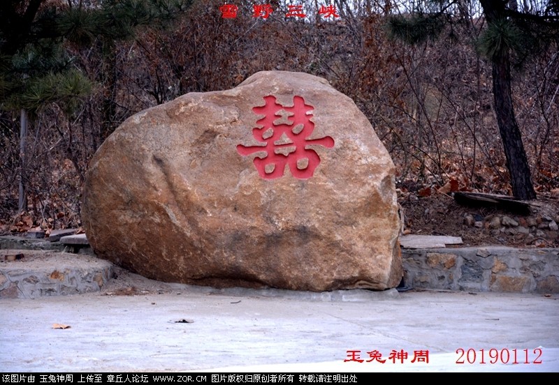 照片 005.jpg