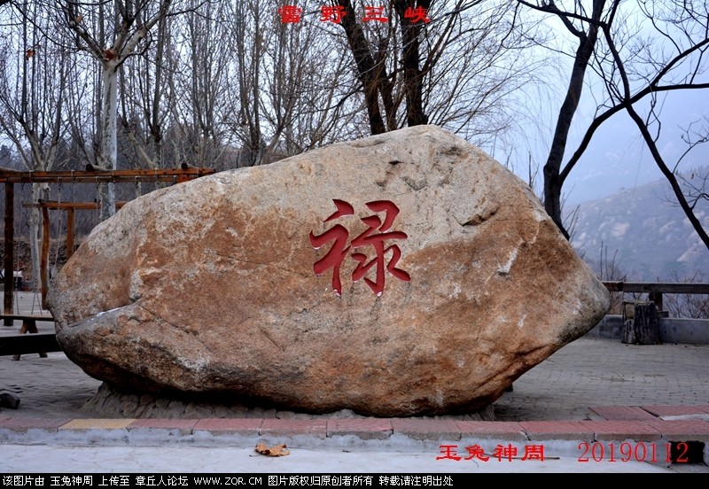 照片 007.jpg