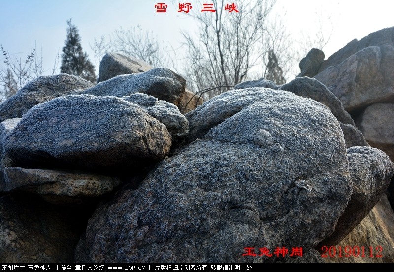 照片 153.jpg