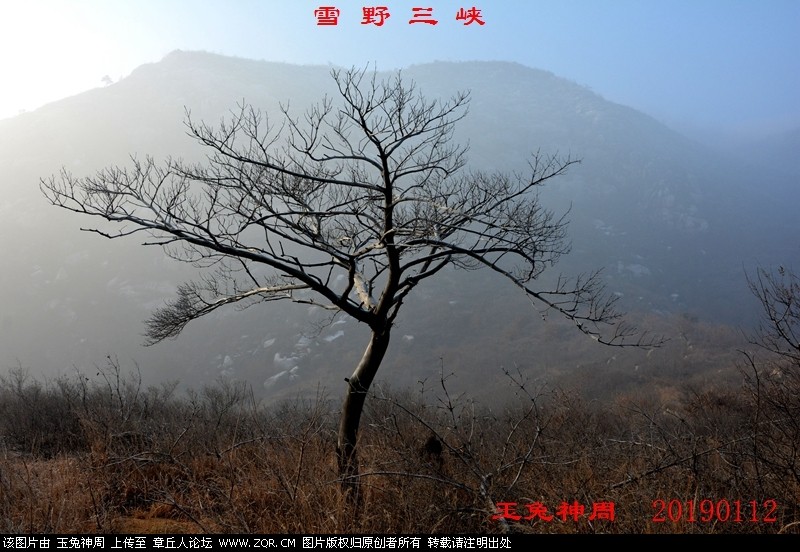 照片 159.jpg