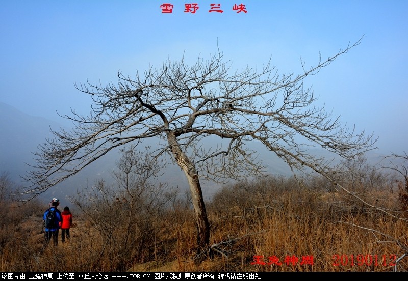 照片 163.jpg