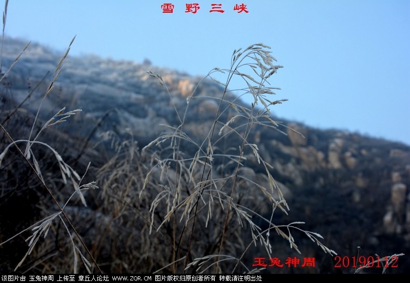 照片 175.jpg