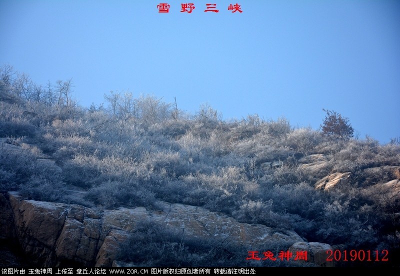 照片 178.jpg