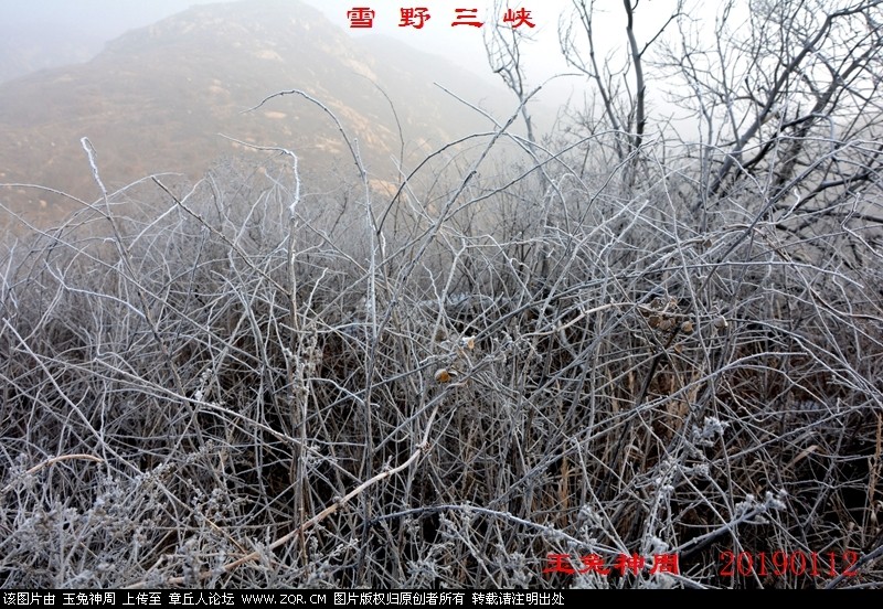 照片 183.jpg