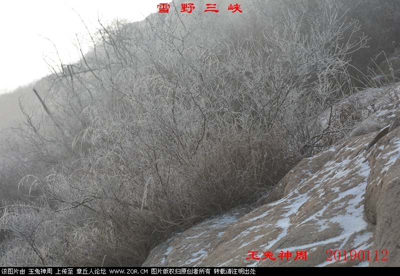 照片 185.jpg