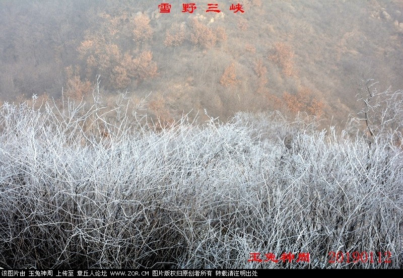 照片 188.jpg