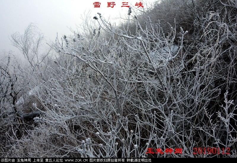 照片 190.jpg