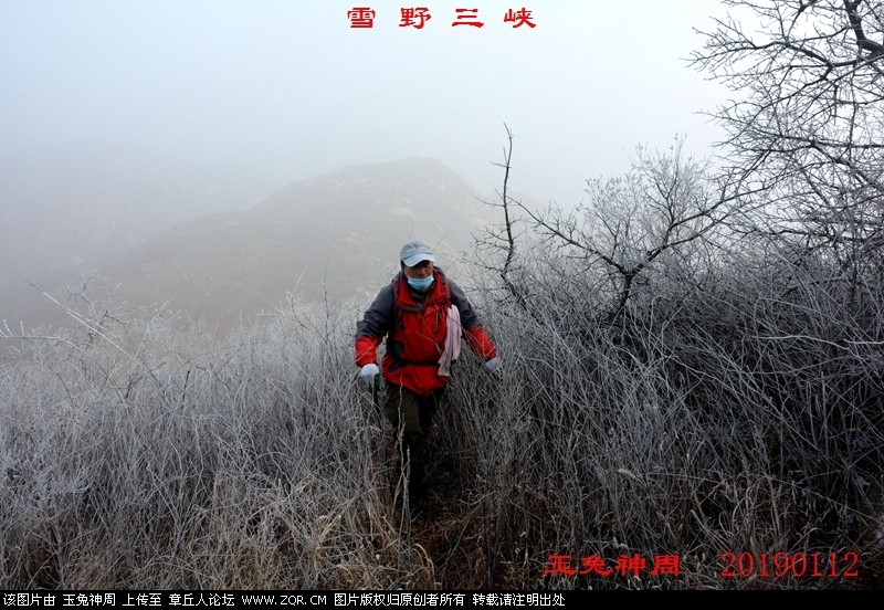 照片 193.jpg