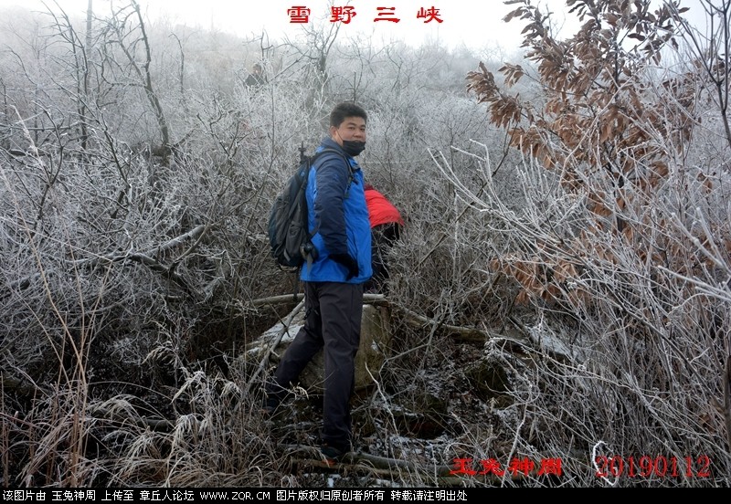 照片 205.jpg