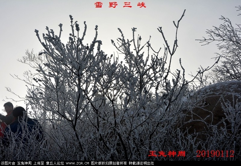 照片 233.jpg