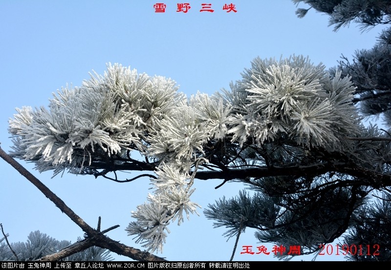 照片 387.jpg