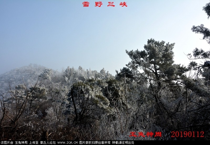 照片 406.jpg