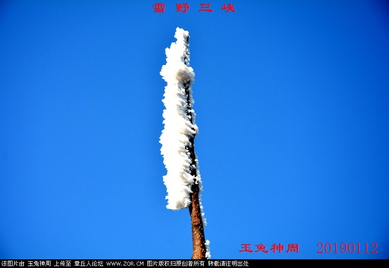 照片 437.jpg