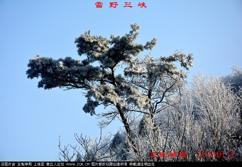 照片 472.jpg