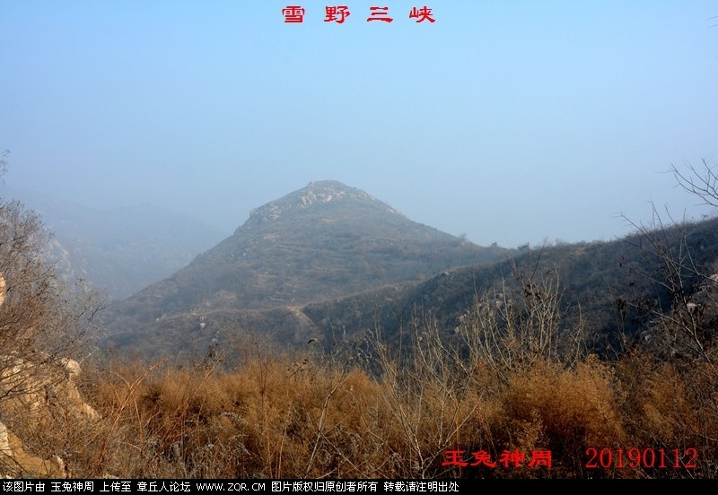 照片 520.jpg