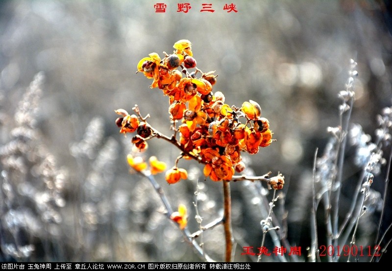 照片 528.jpg
