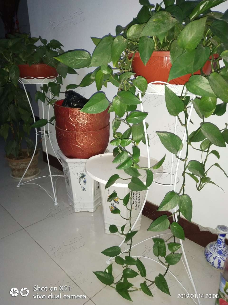 20190115_17420_1547516351771.jpg