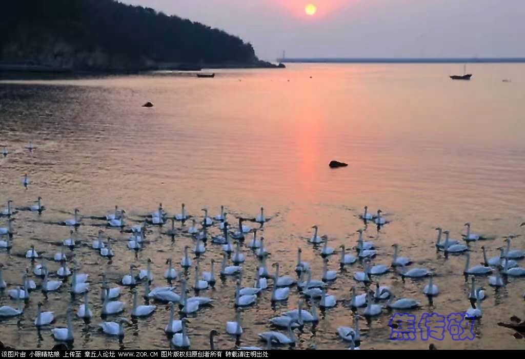 微信图片_20190117205006_副本.jpg