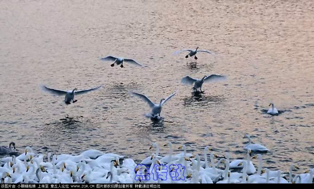 微信图片_20190117205013_副本.jpg