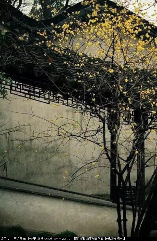 微信图片_20190118132052.jpg