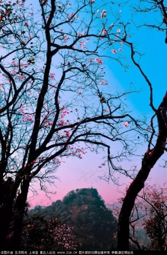 微信图片_20190118132247.jpg