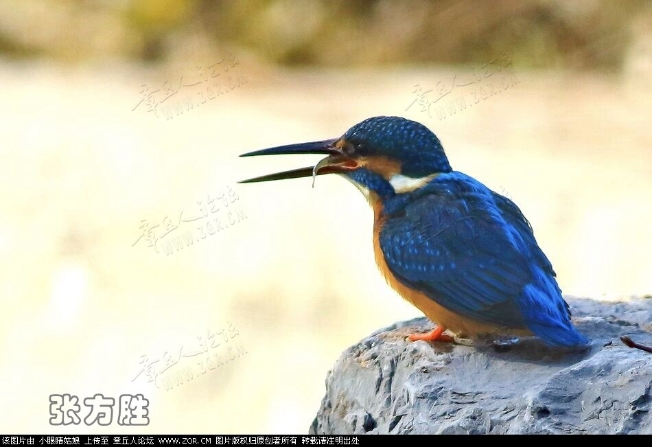 微信图片_20190122194646.jpg