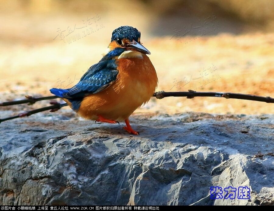 微信图片_20190122194650.jpg
