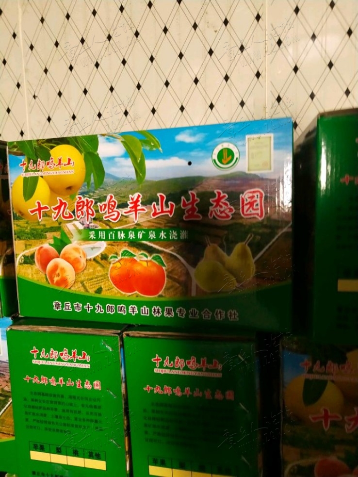 IMG_20190124_130924.jpeg