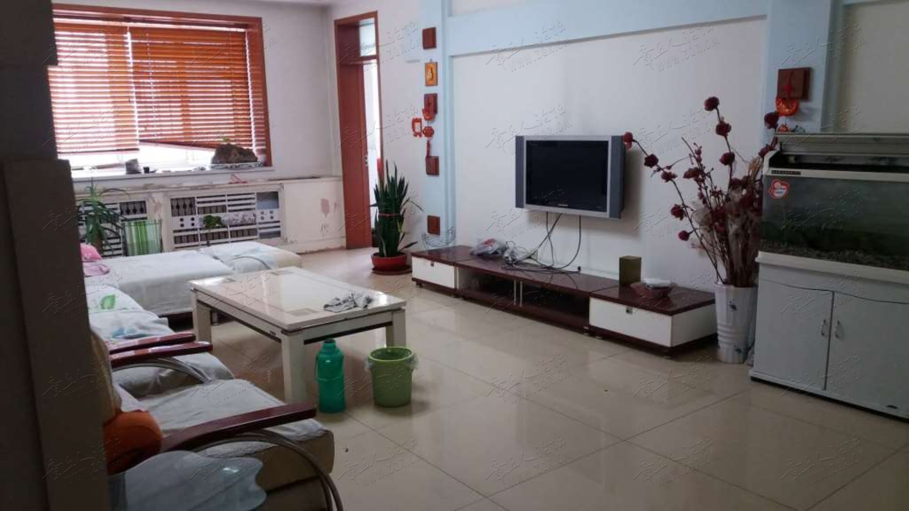 175038sr0qrmue07uob7rz.jpg