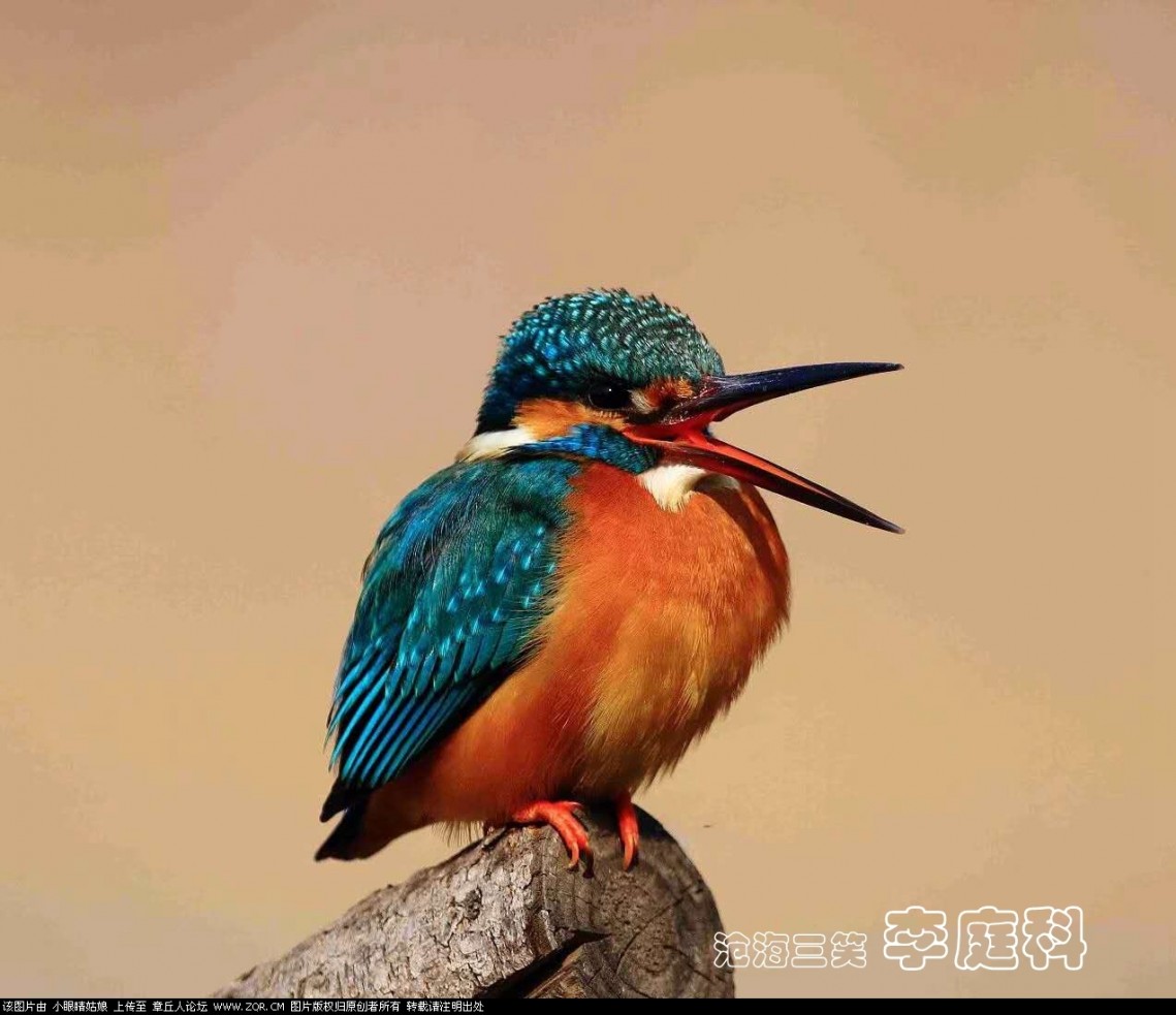 微信图片_20190128193702.jpg
