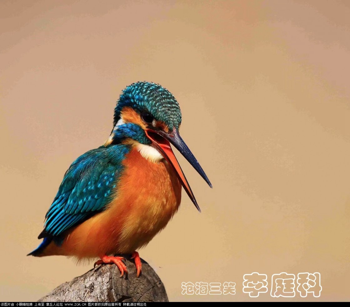 微信图片_20190128193717.jpg
