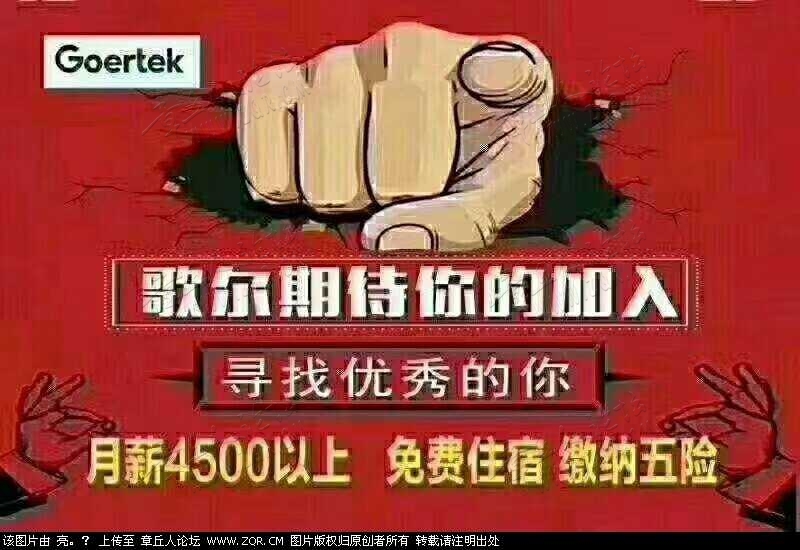 mmexport1549707664812.jpg